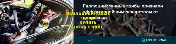 a pvp Абаза